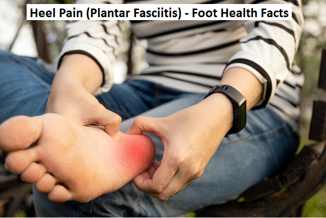 Heel Pain (Plantar Fasciitis) - Foot Health Facts