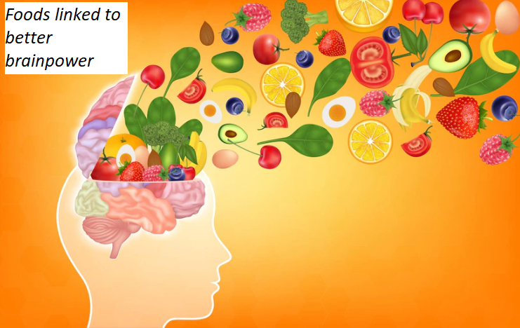 Foods Related to Higher Brainpower