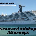 Seaward Mishap Attorneys: Exploring the Perplexing Oceans of Sea Injury Cases