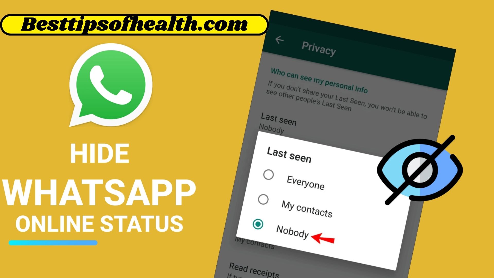 A Comprehensive Guide on How to Hide Online Status on WhatsApp